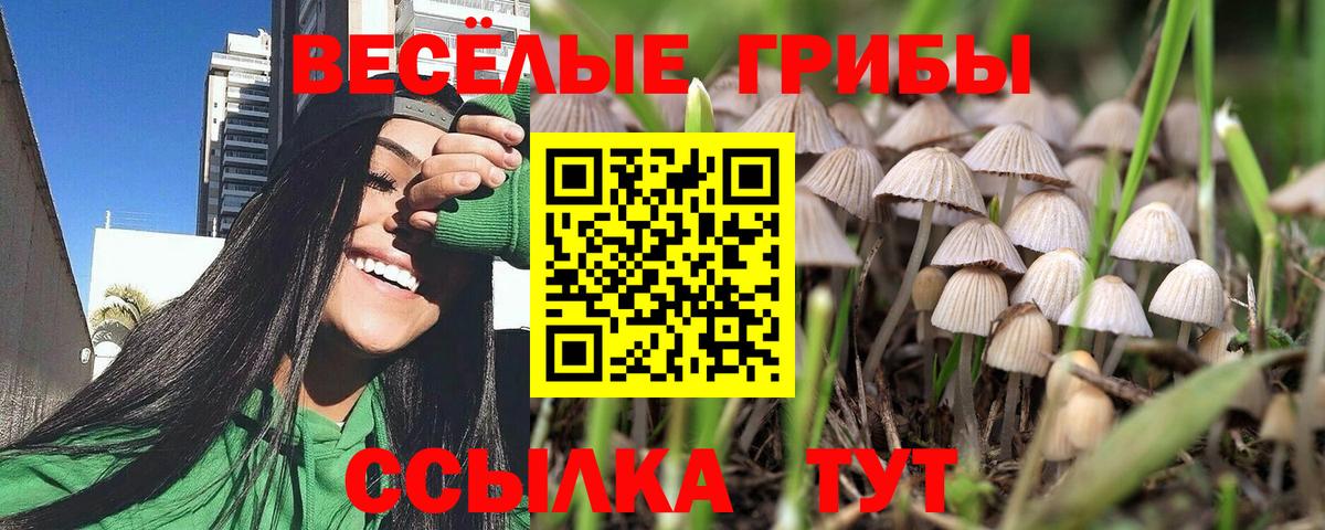 Сафоново  Псилоцибиновые грибы мицелий  Вход с VPN  Галлюциногенные грибы GOLDEN TEACHER 